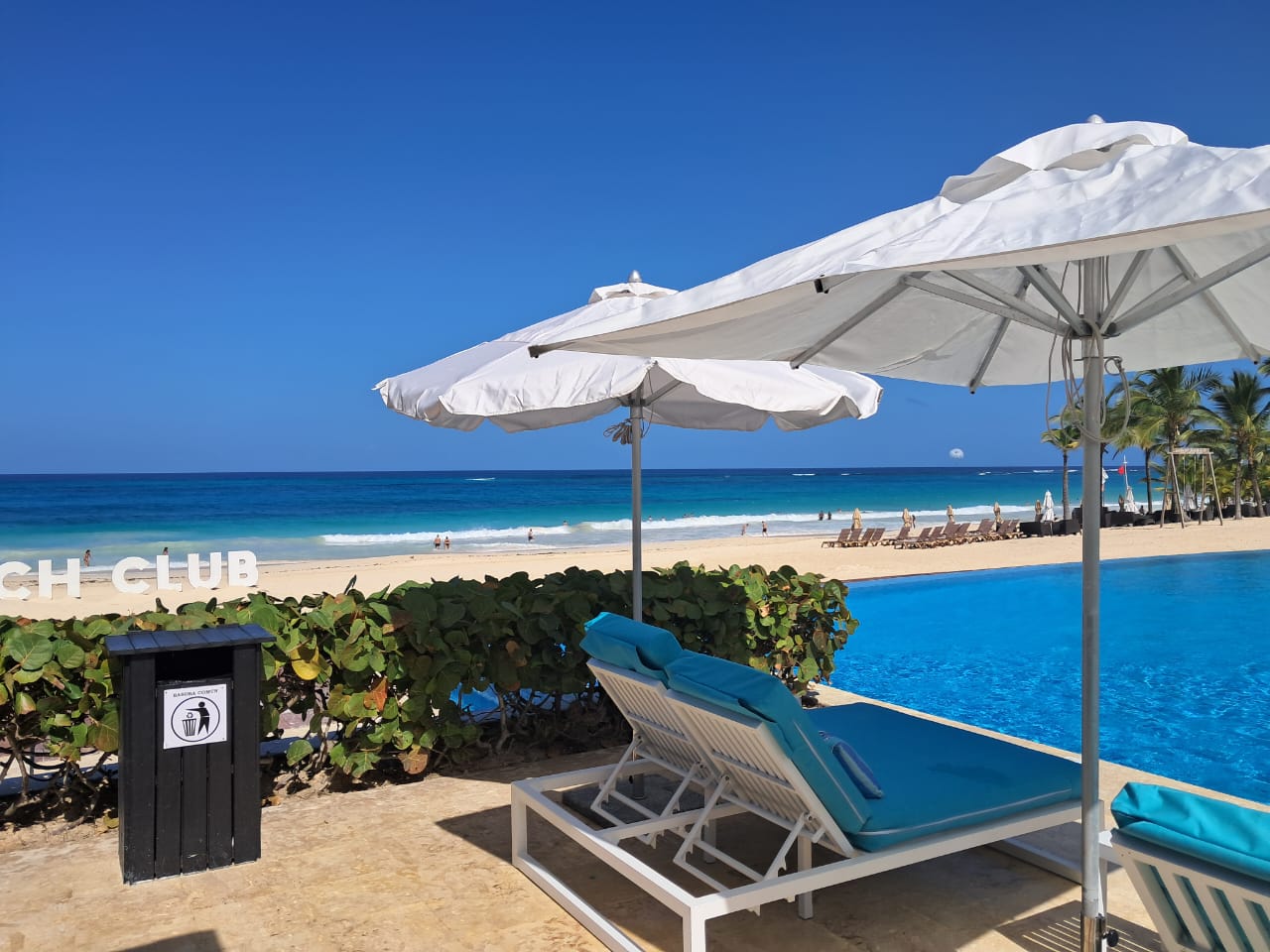 Diminution de la quantité de sargasse à Punta Cana : ce que cela signifie pour les vacanciers