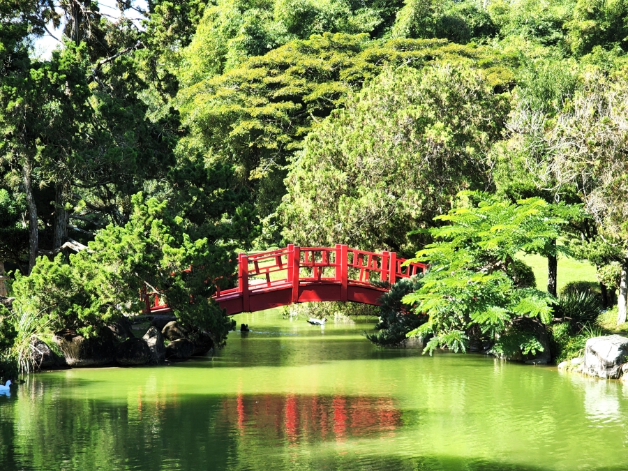 Jardin Botanique National publie le Volume 22 de la Revue Scientifique Moscosoa
