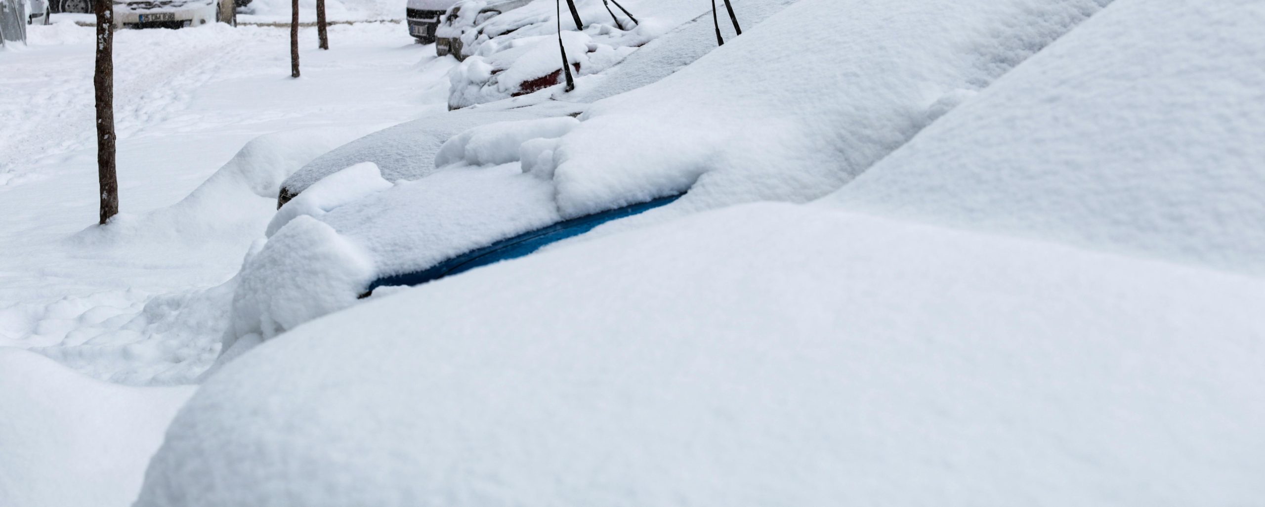 Tempête d'hiver : 89 vols annulés entre les États-Unis et la République dominicaine