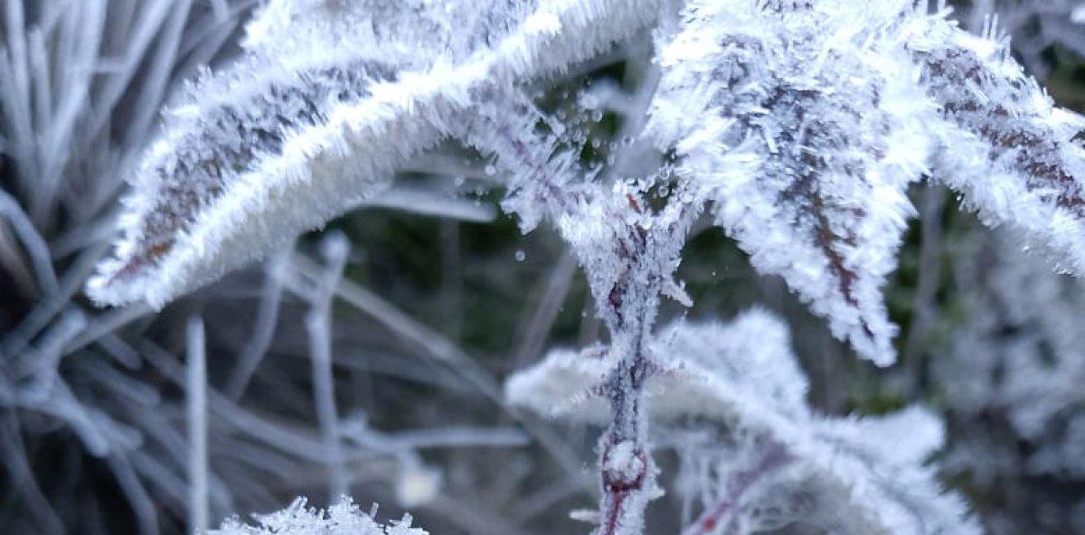 Le “fridge” frappe encore : Valle Nuevo réveillée sous zéro et recouverte de blanc