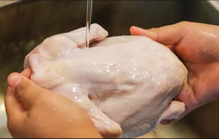 Les organismes professionnels démentent la pénurie de poulets et d'œufs en France