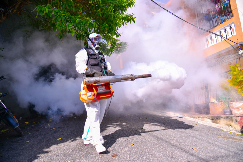 République dominicaine : 31 cas de dengue enregistrés en 2026 jusqu’à présent