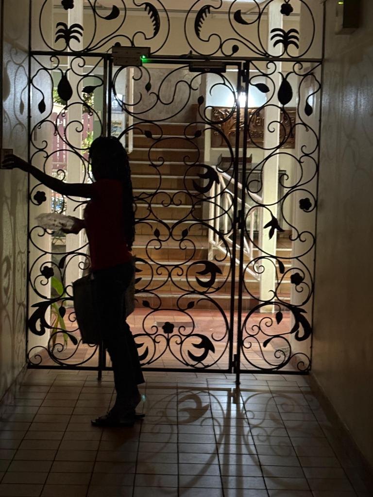 Joie in Jamaica on February 16, 2026, before finally returning to the United States. Photo courtesy of Dawn Post.