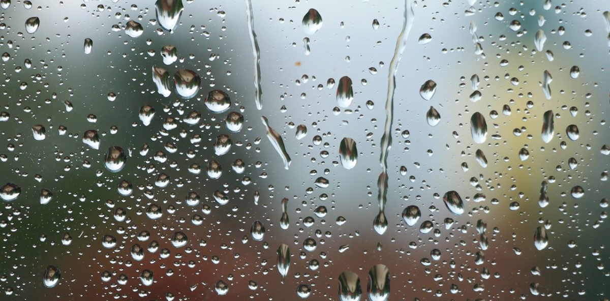 Pluie ou soleil : idées d'activités pour éviter l'ennui ce week-end en République Dominicaine