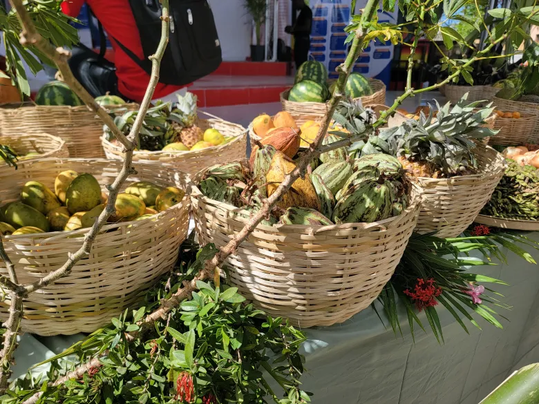 A display of produce at the 7th general assembly of the Organization of Peoples Working for the Development of Haiti (OPODHA) in Trou Du Nord on Saturday, Aug. 29, 2026. Photo by Edxon Francisque/The Haitian Times
