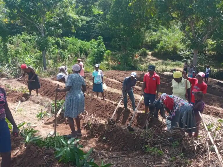 Les agriculteurs haïtiens réclament une voix dans le projet agricole de 47,9 millions de dollars